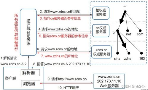 詳解域名解析服務(wù)在計(jì)算機(jī)網(wǎng)絡(luò)信息管理與服務(wù)中的作用